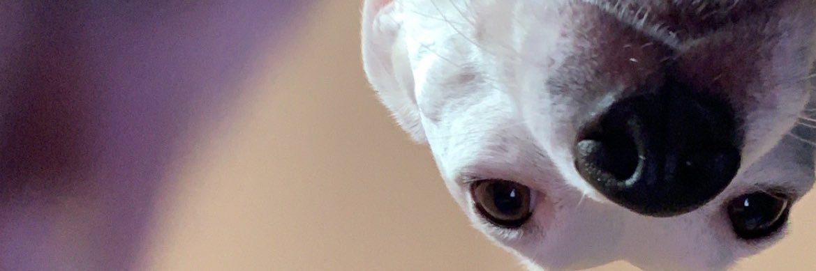 JordynNikol's profile banner image