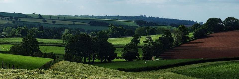 Adnan Al-Daini Ph.D. banner