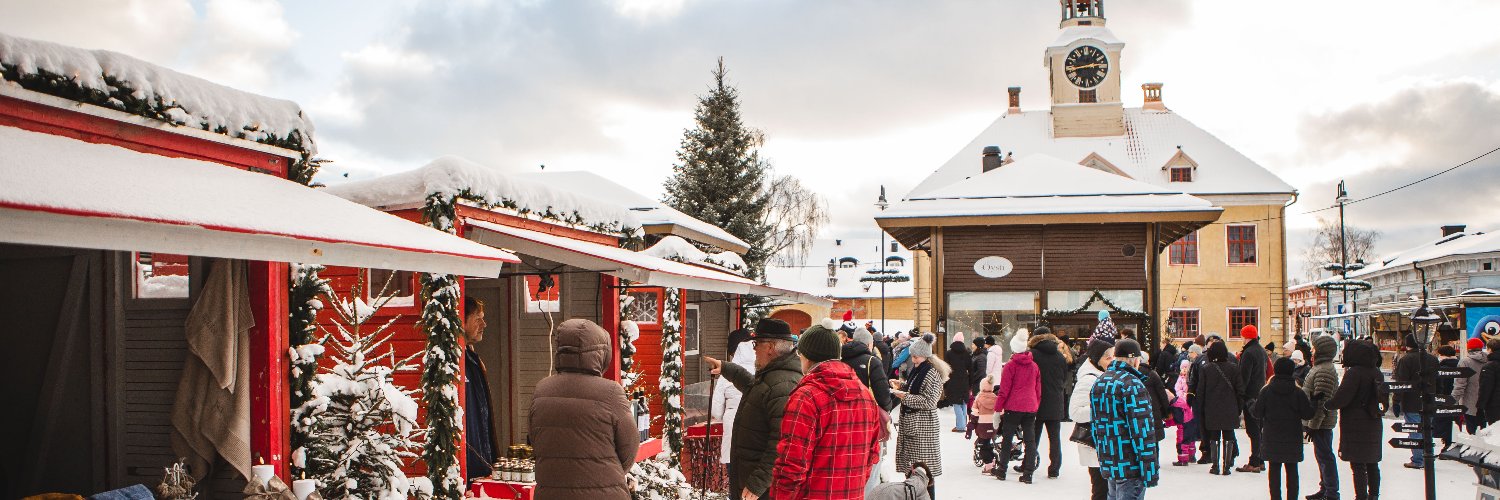 Rauman kaupunki banner