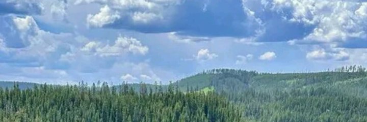 IrfanRaamay's profile banner image