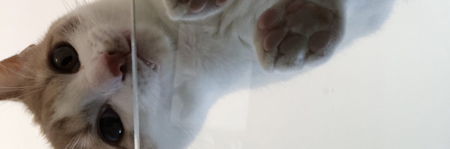 itskennethyo's profile banner image