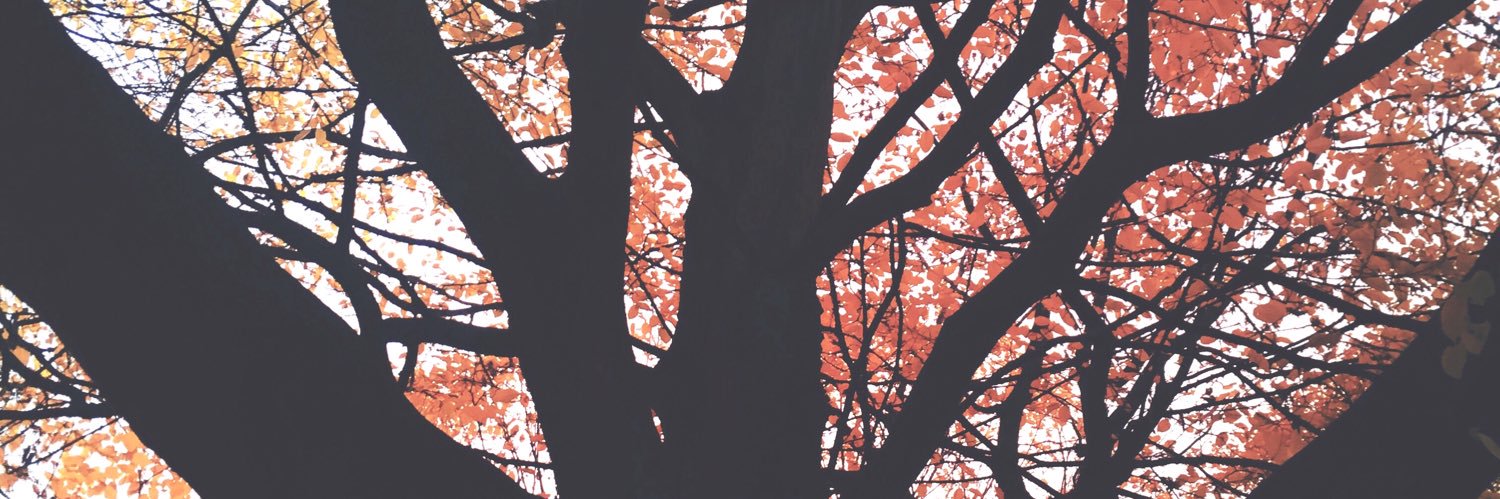 dandoesthis's profile banner image