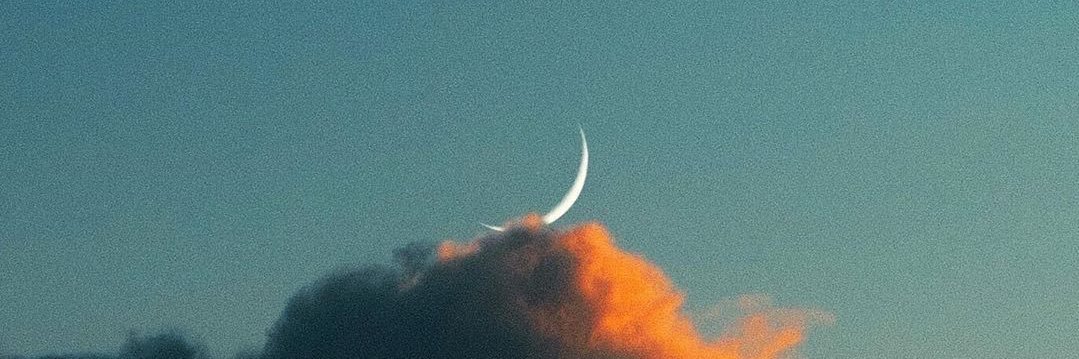 Tailive_'s profile banner image