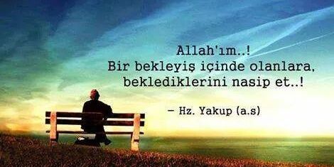miray_ergen's profile banner image