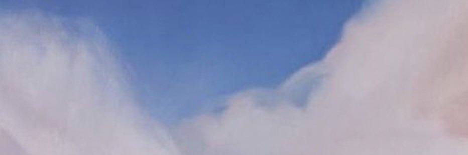 AUSTlNX's profile banner image