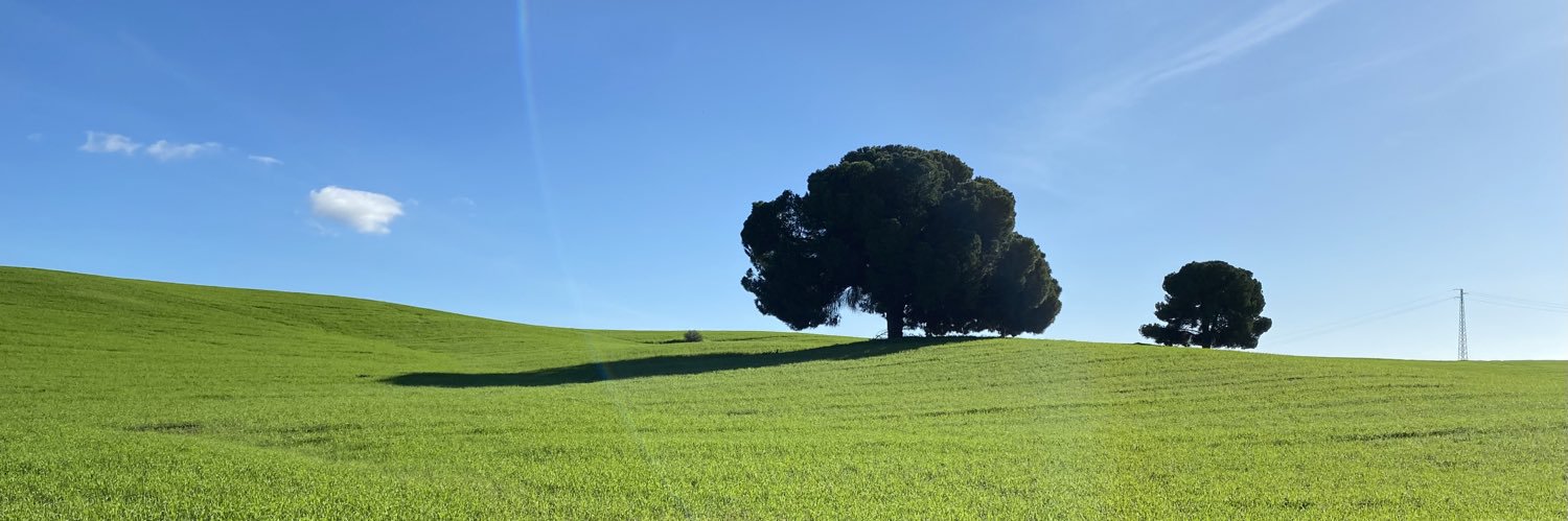AlfSanchez1's profile banner image