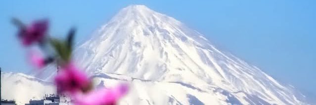 AliDanande's profile banner image