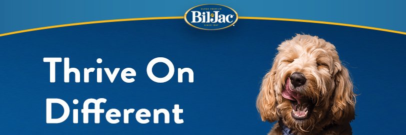 BilJac's profile banner image