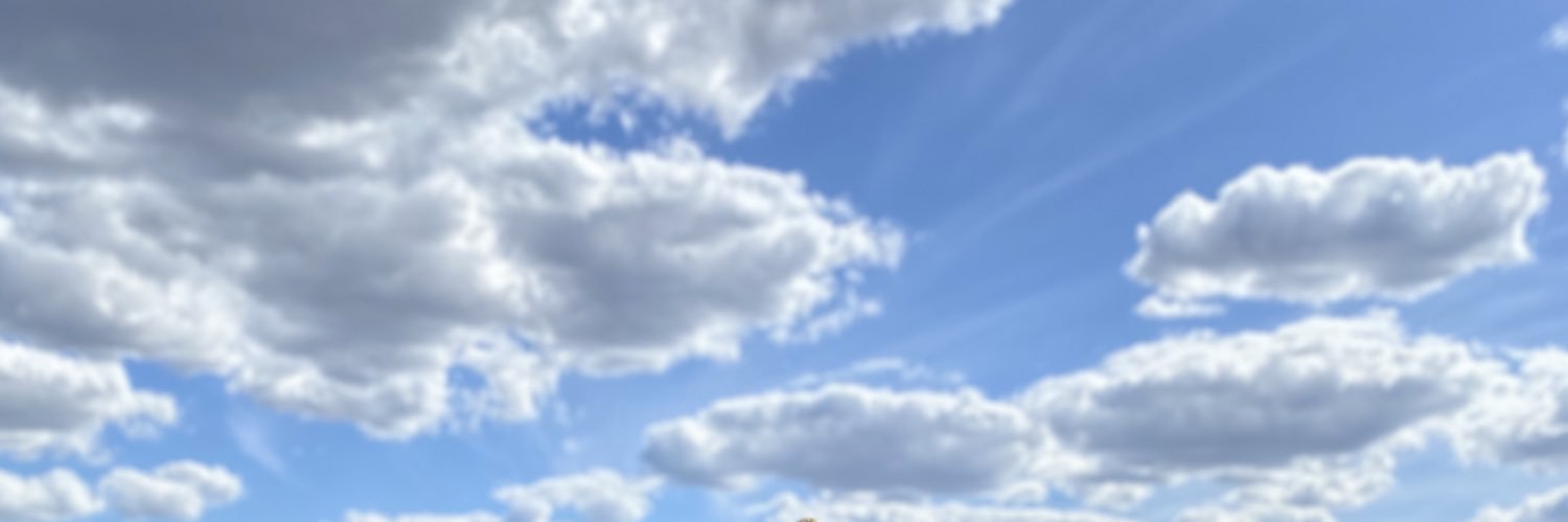 ingrisalves's profile banner image