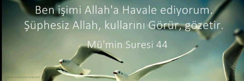 HUcbudak's profile banner image