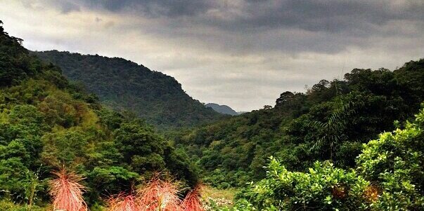 Worldelicious's profile banner image