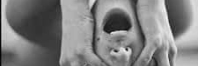 lil bear banner