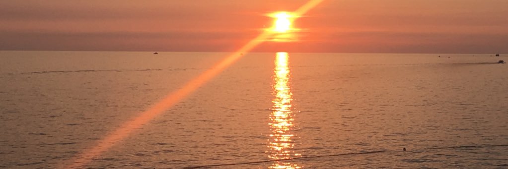 Janine 🇺🇦 banner