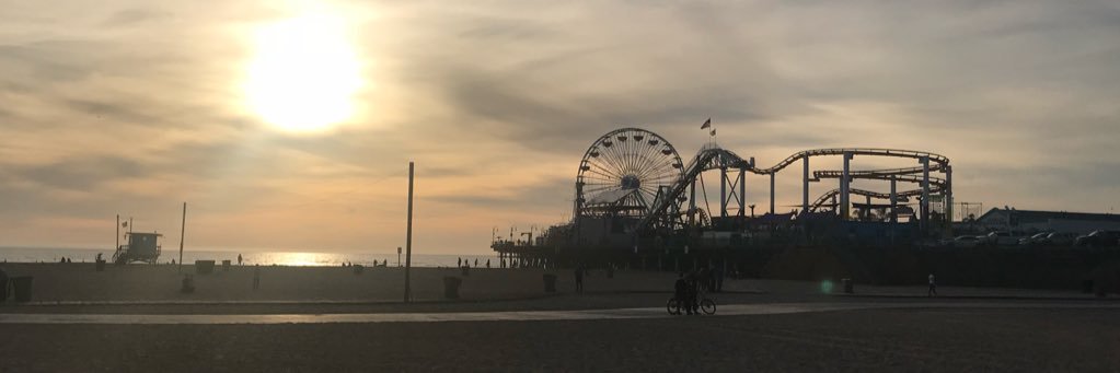 Hasan Colakoglu banner