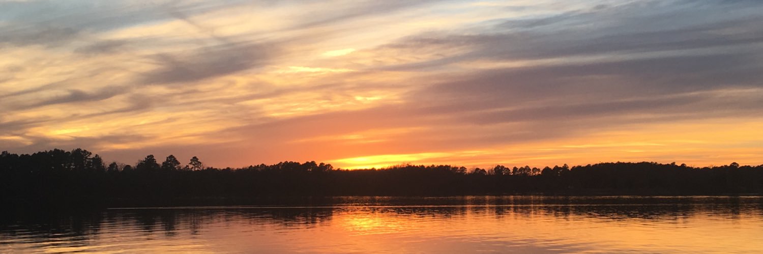 BrielleBobbora's profile banner image