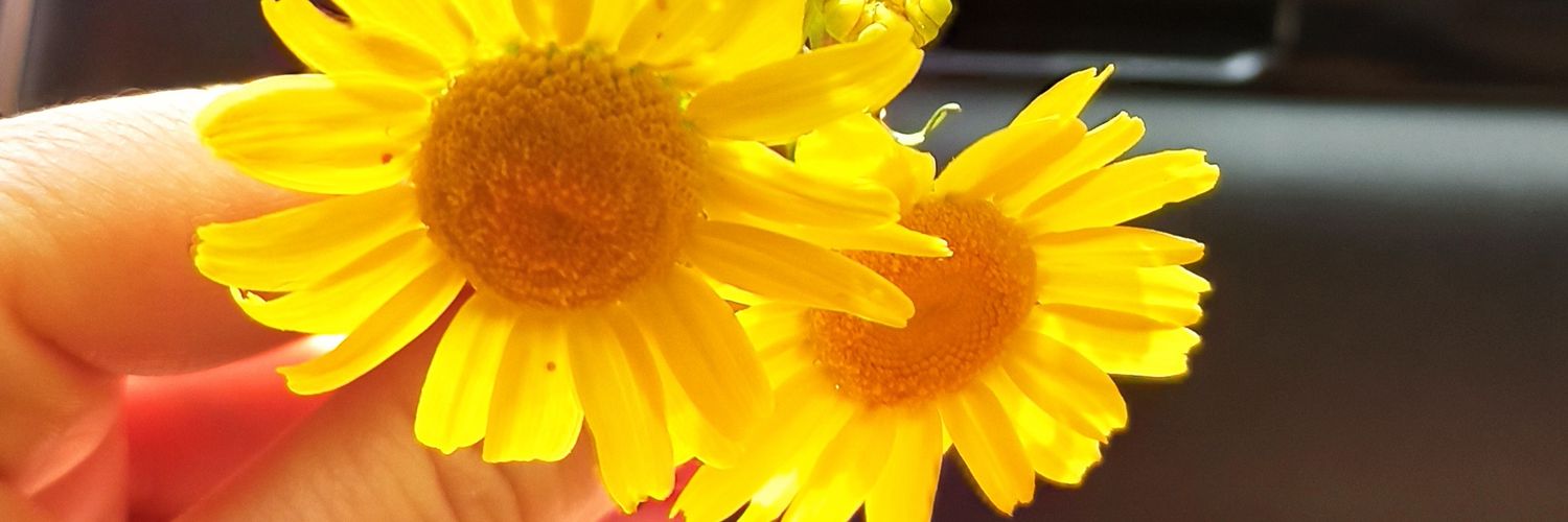 selvinustun's profile banner image
