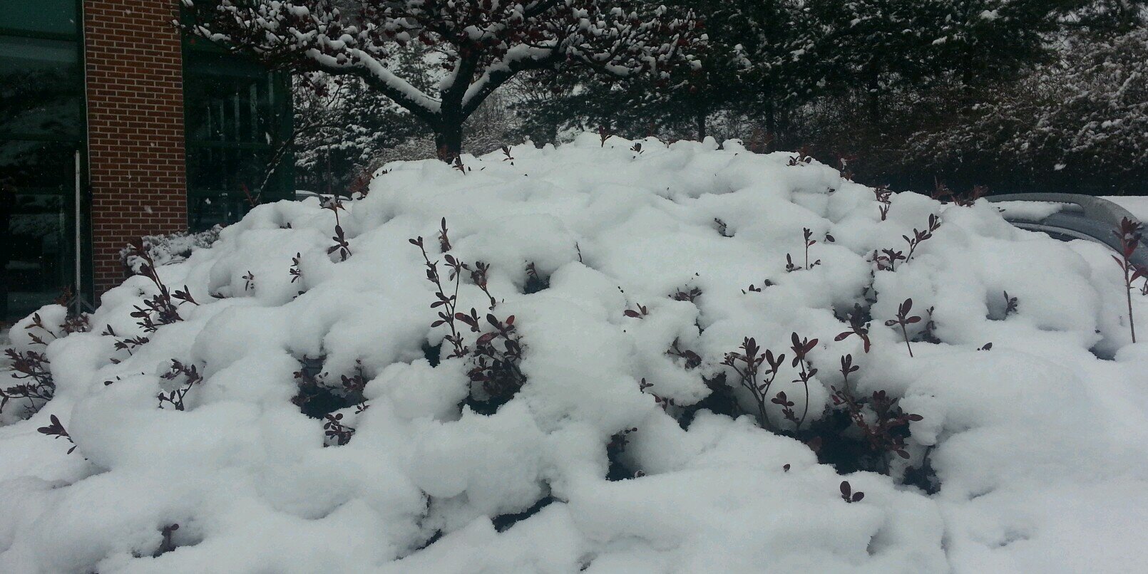 권기중(Ø,G)π²🟠 GAIB banner