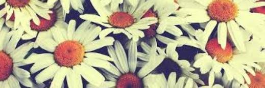 dallen92's profile banner image