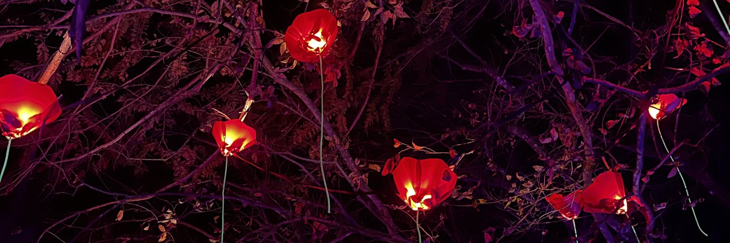 B_Easy1986's profile banner image