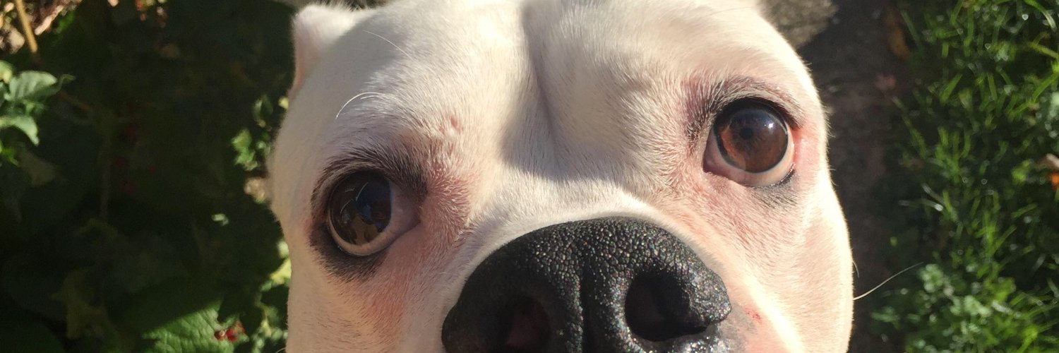 BetaRayWill_'s profile banner image