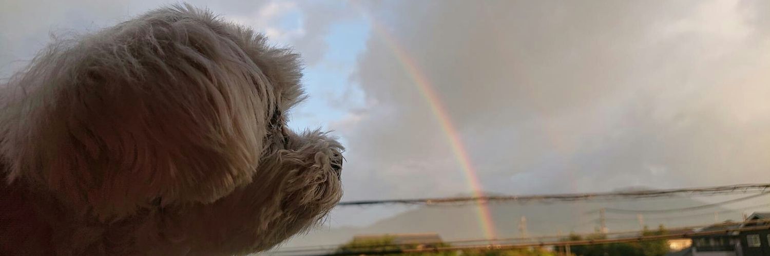 chapi_riyco's profile banner image