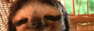GeniMcCallum's profile banner image