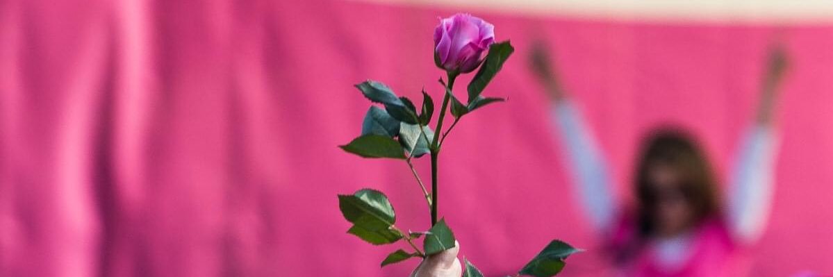 Michelle Millman banner