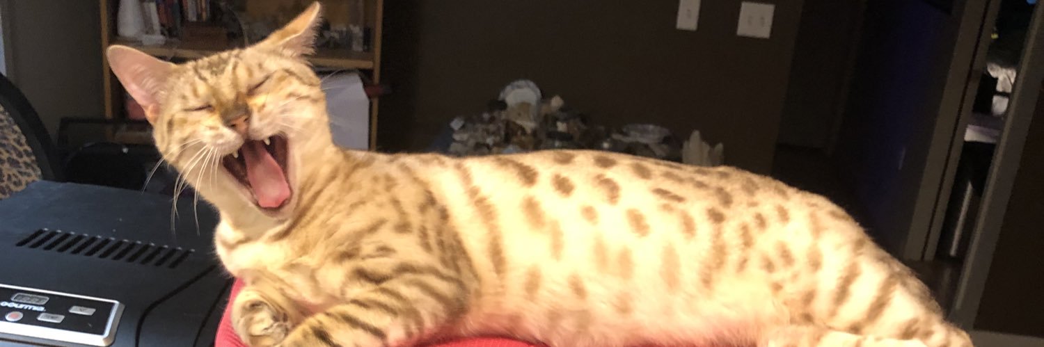 CrystalHutchens's profile banner image