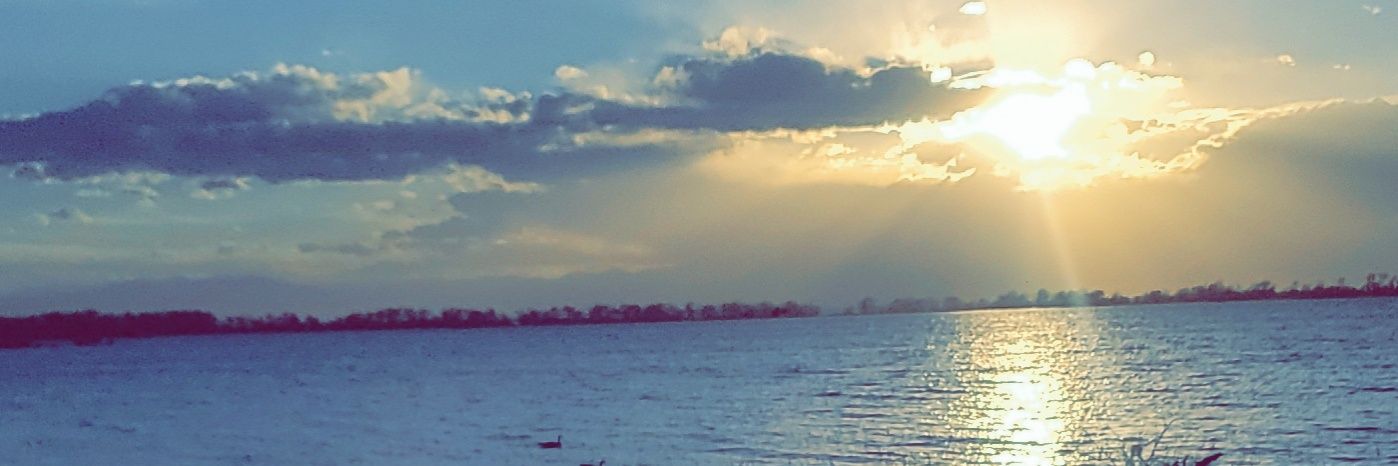 AntelopeColette's profile banner image
