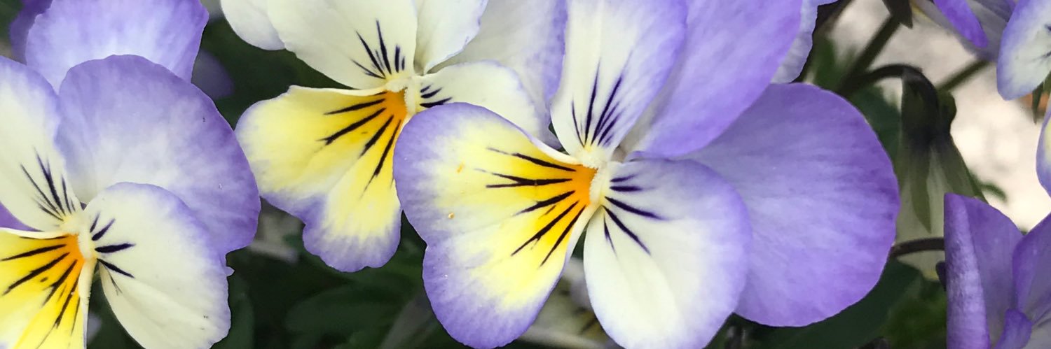 humarti's profile banner image