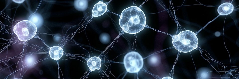 Immortal Web3 banner