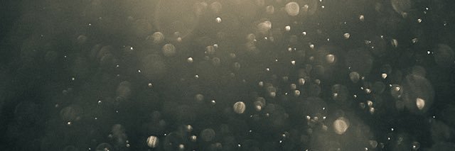 AlienTTOMATO's profile banner image
