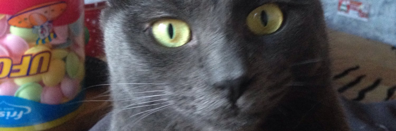 Brendan Gilligan 🐾 banner