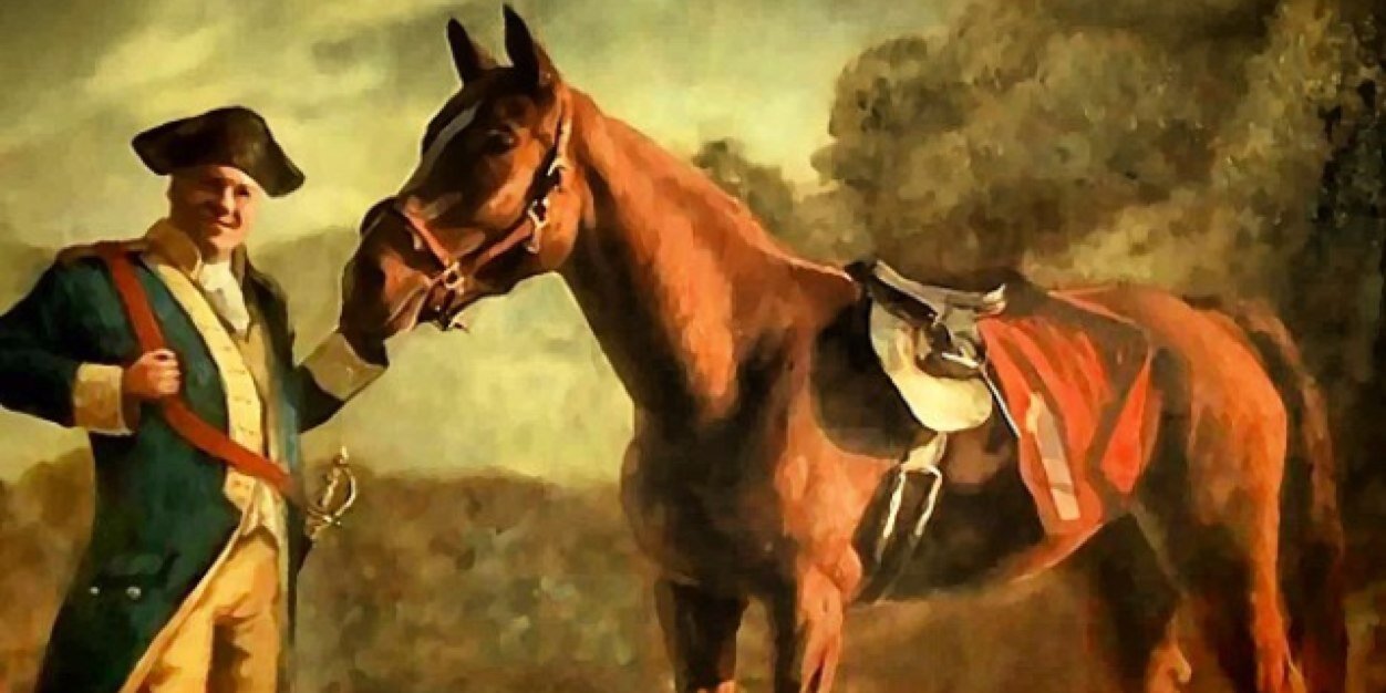 Stefan Connolly banner