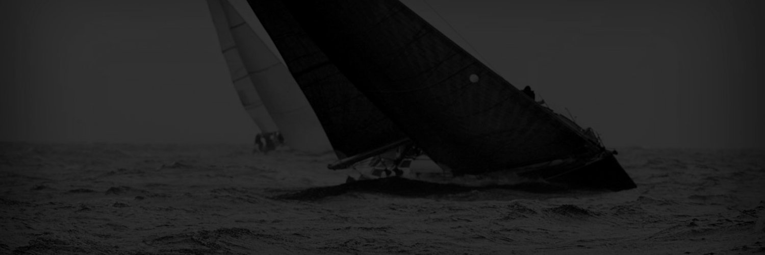 realsailnet's profile banner image