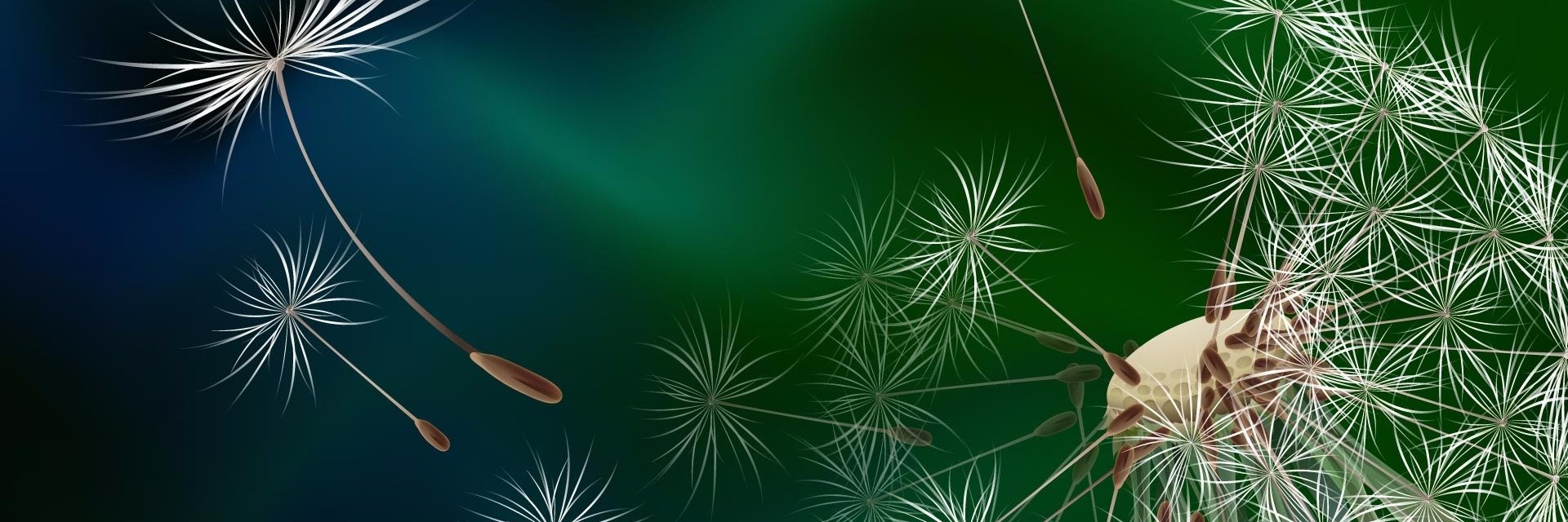 Keri315's profile banner image