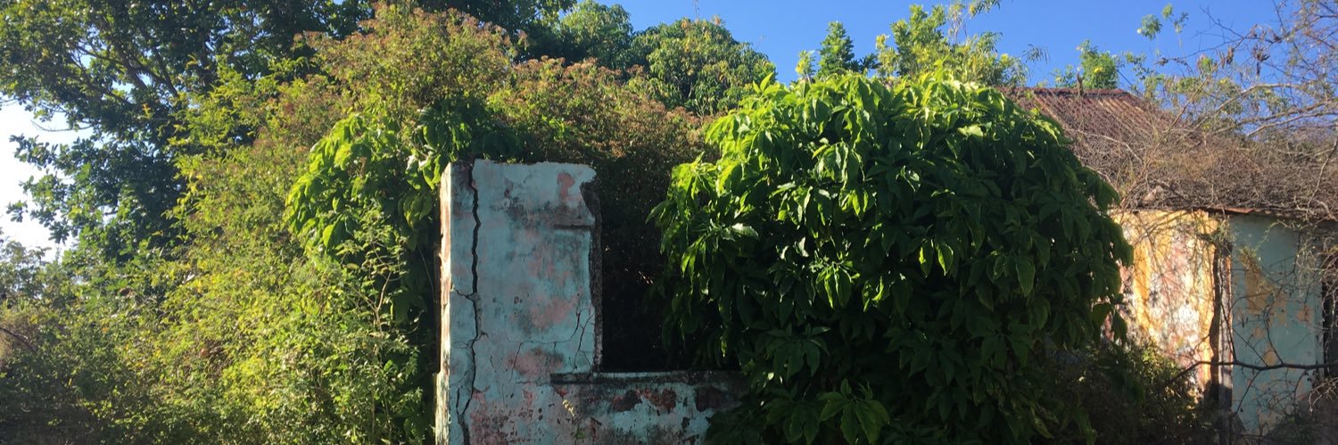 Angelita Woosnam banner