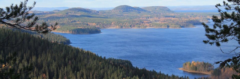 Pertti Ikonen banner