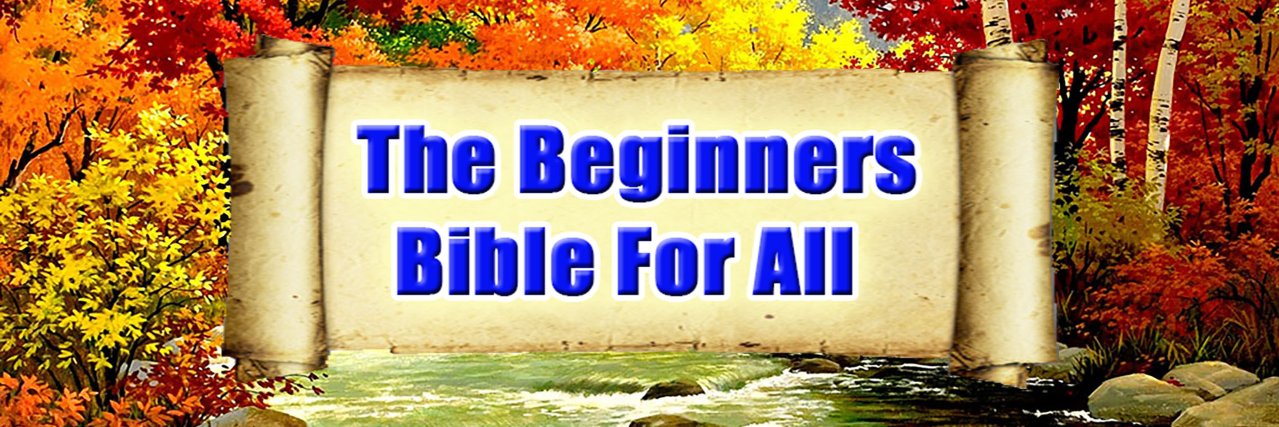 BeginnerzBible's profile banner image
