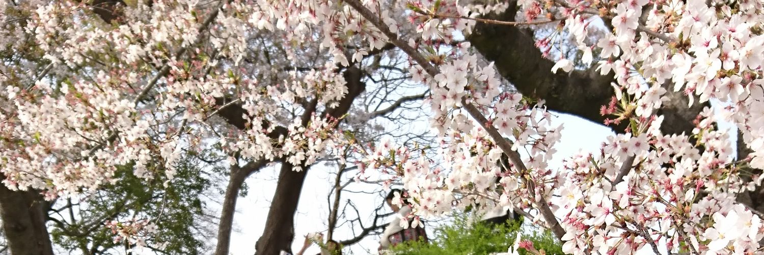 SOR_0414's profile banner image