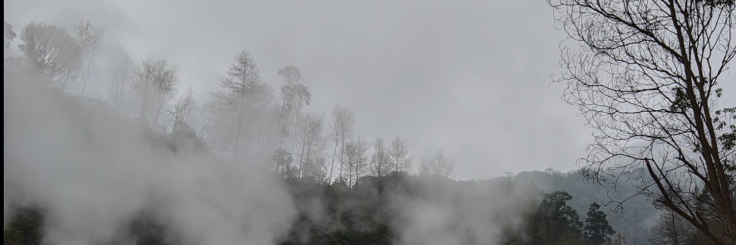 sawisaaa's profile banner image