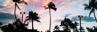 illllilx's profile banner image
