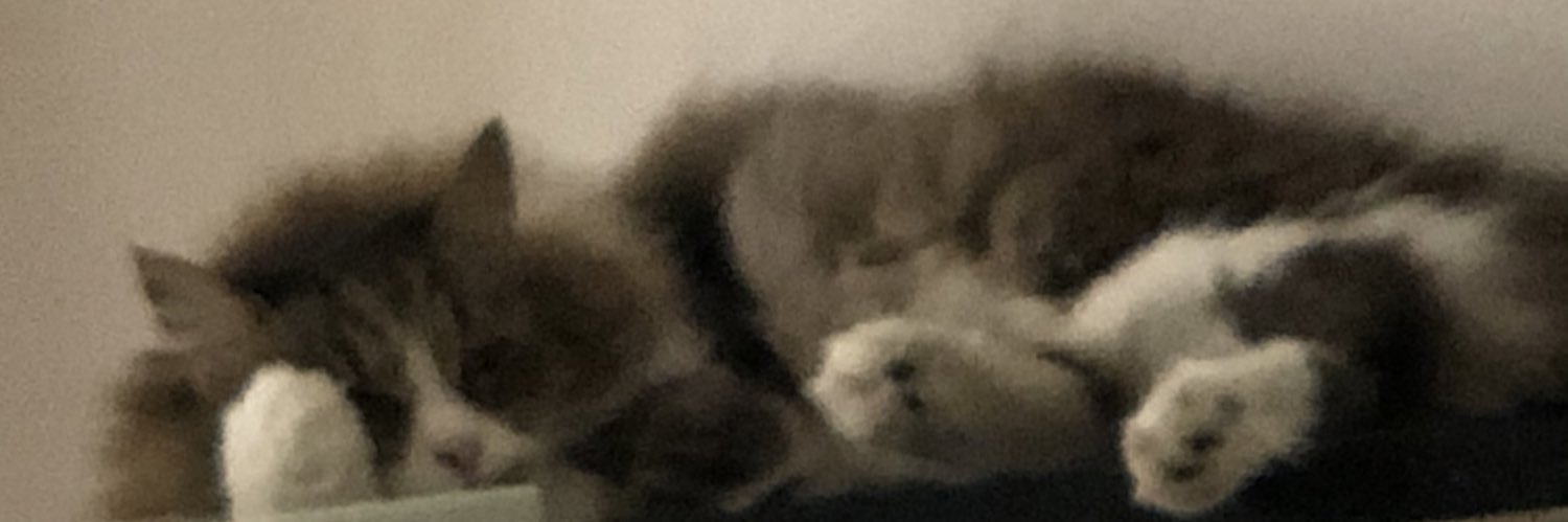 afiorini1's profile banner image