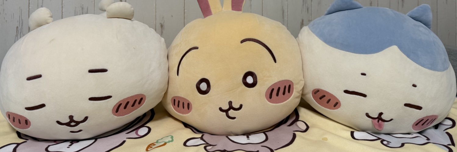 saika0312's profile banner image