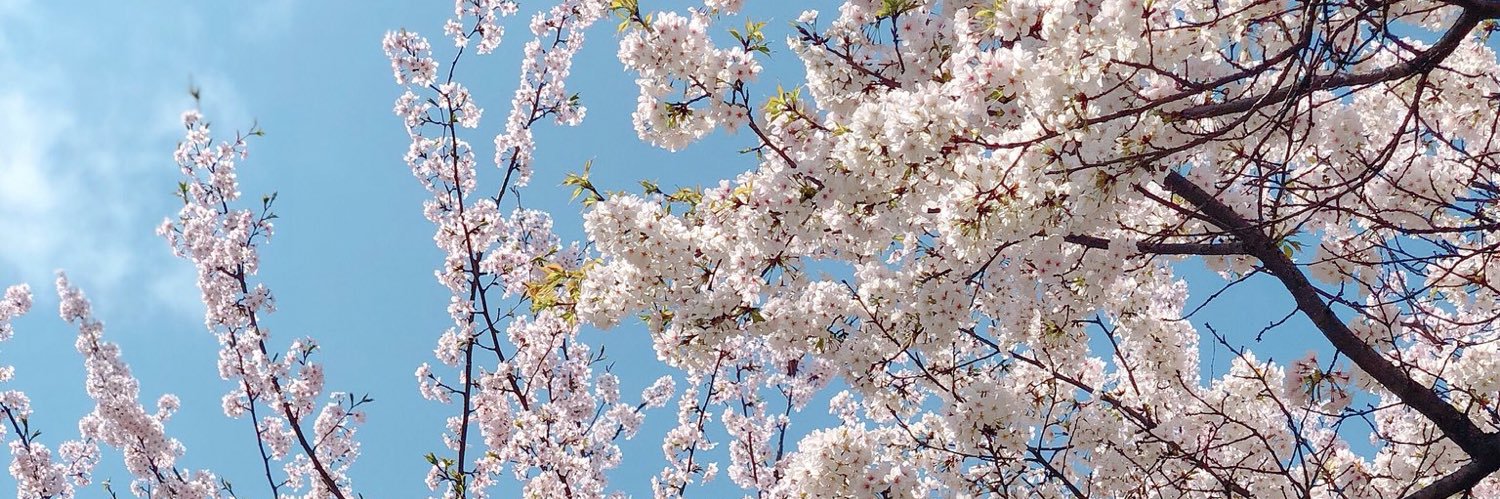 nicholetienzo's profile banner image