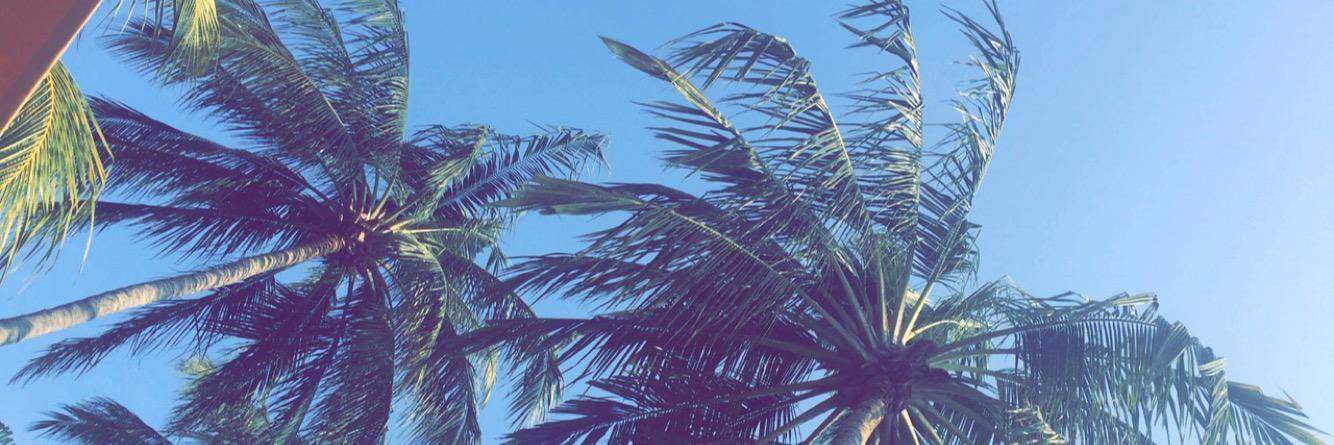 abi_obrien's profile banner image