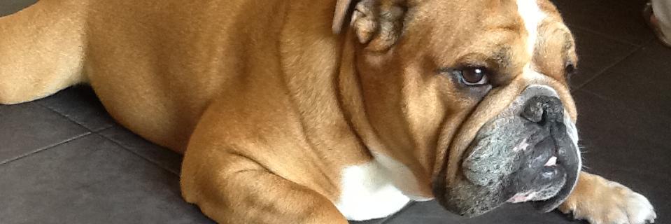 AndyCossey's profile banner image
