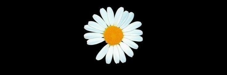 avig² almost won the lotto banner