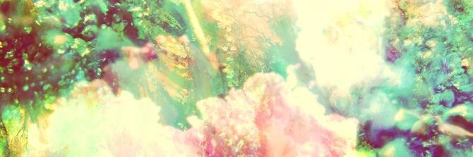 ollwis's profile banner image