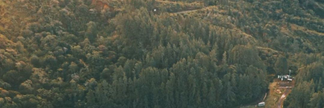 dajezabel's profile banner image